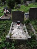 image of grave number 499283